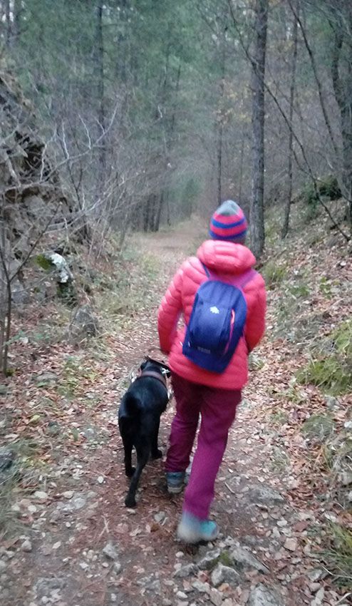 Ana y Xabana en la montaña. A guiar en la montaña no lo aprendió en la ONCE. Increíble perra.